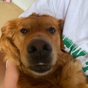 Meet your Posher, Abby